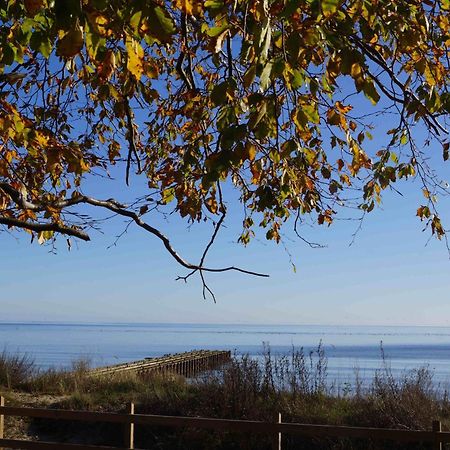 Ystad Camping المظهر الخارجي الصورة