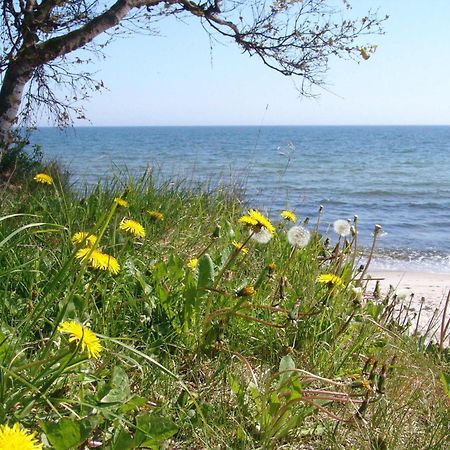 Ystad Camping المظهر الخارجي الصورة