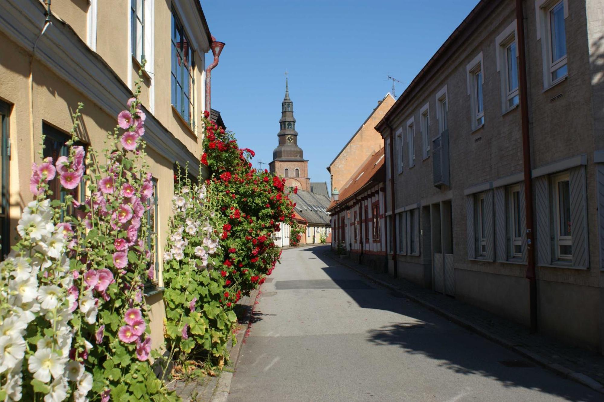 Ystad Camping المظهر الخارجي الصورة