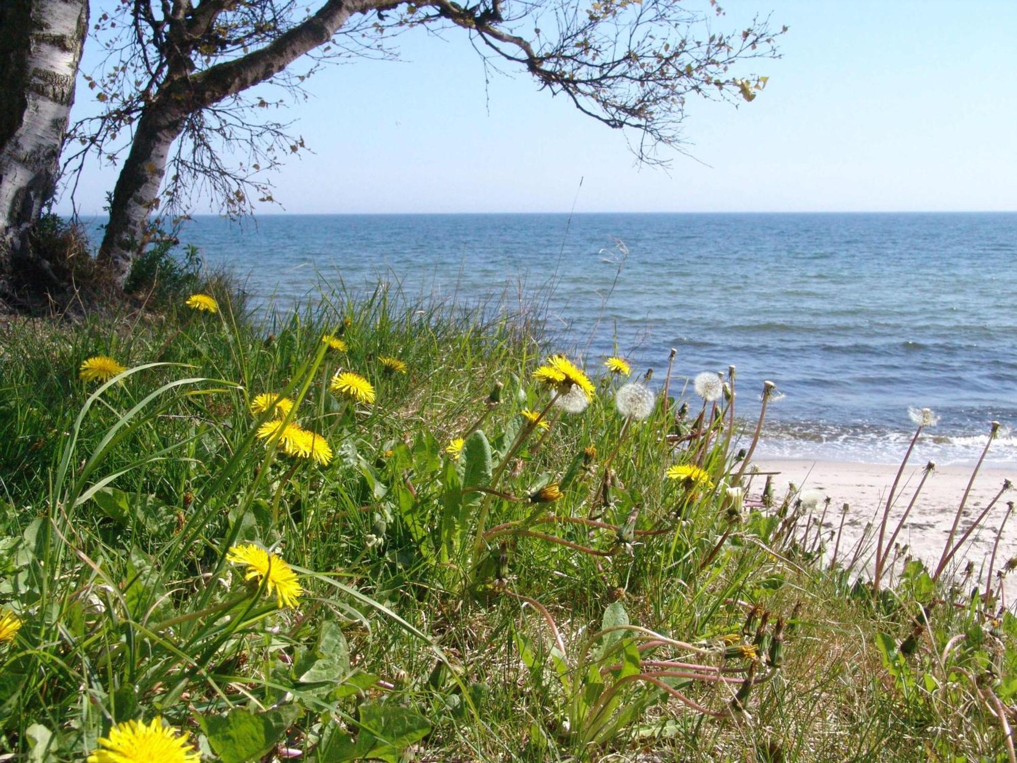 Ystad Camping المظهر الخارجي الصورة